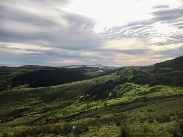 Processed with VSCO with c1 preset